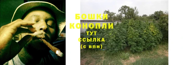 твердый Шадринск