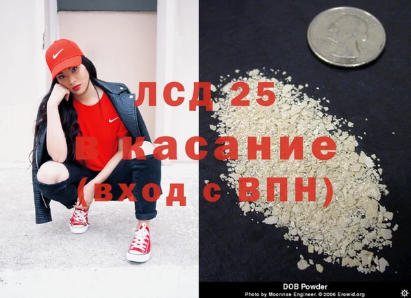 твердый Шадринск
