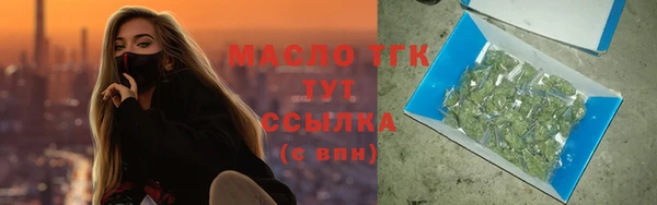 твердый Шадринск