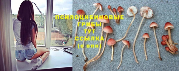 твердый Шадринск
