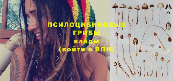 твердый Шадринск