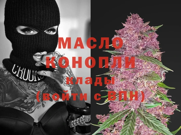 твердый Шадринск