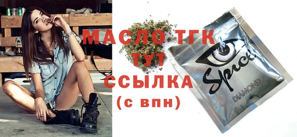 твердый Шадринск