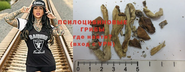 молекула духа Шали