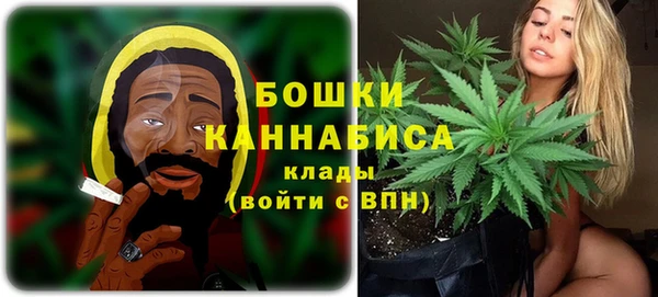 твердый Шадринск