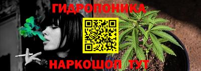 крисы Апшеронск