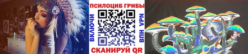 Псилоцибиновые грибы Psilocybe  kraken tor  Апрелевка 