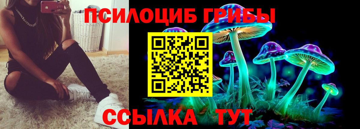 Галлюциногенные грибы мицелий  Вход с VPN  Апрелевка 