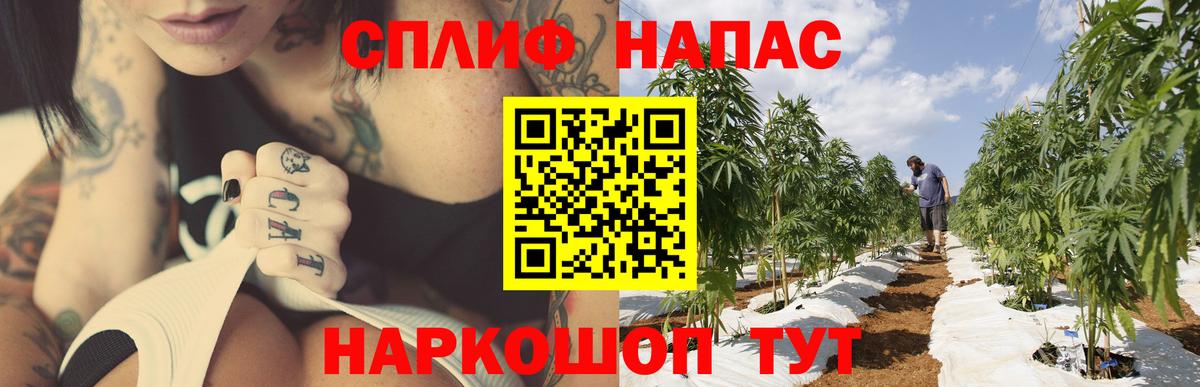 Апрелевка  Бошки марихуана Amnesia  Каннабис THC 21%  Бошки Шишки Amnesia  Вход с VPN 